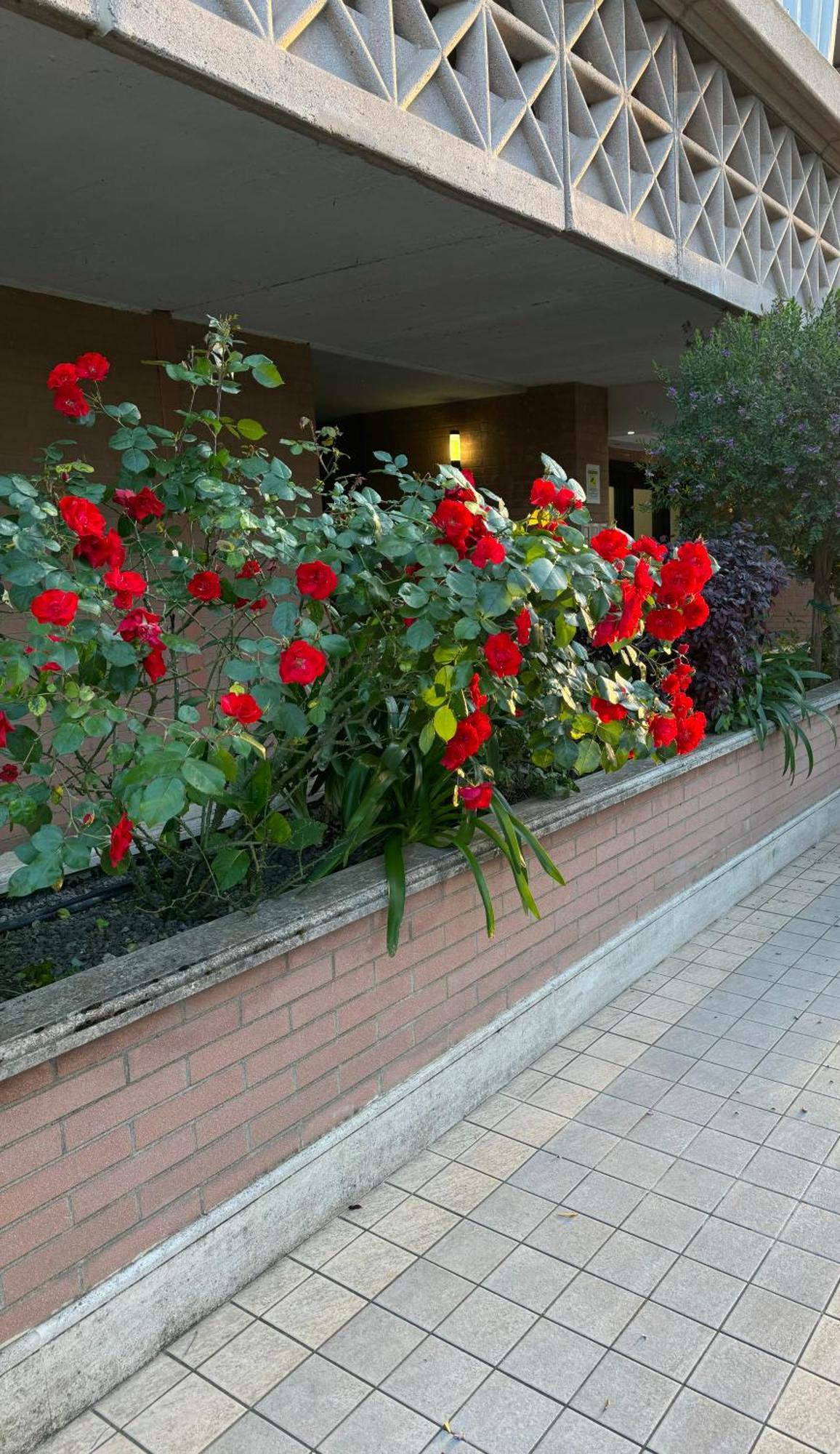 Flaminia Home Róma Kültér fotó